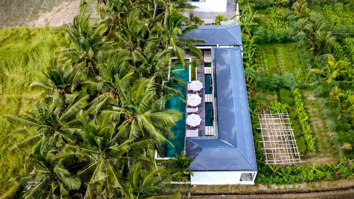 Rice-Field Villa Badamari · 4BR · Ubud, Ubud, Bali — photo 9 | The Luxury Bali