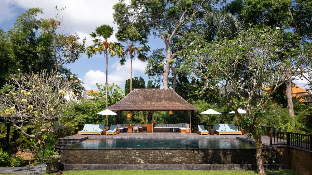 Villa Simona Oasis, Canggu, Bali — poolside greenery | The Luxury Bali